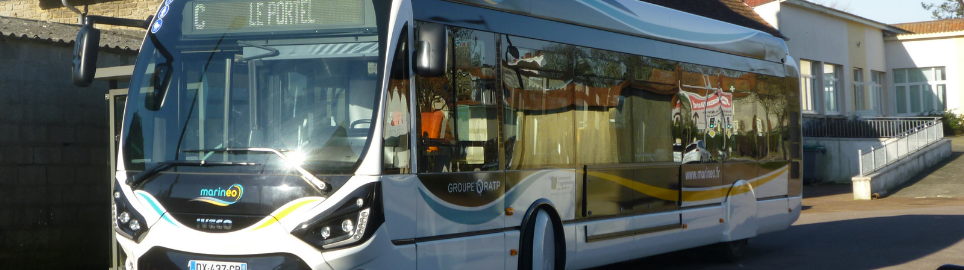 bus marineo