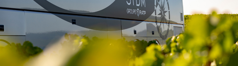 stdm environnement